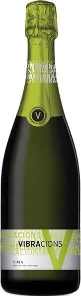 קאווה ויברסיונס ברוט