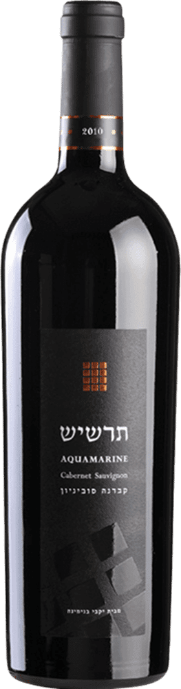 בנימינה אבני החושן תרשיש 2022